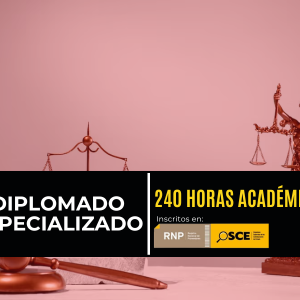 DERECHO CONSTITUCIONAL Y PROCESAL CONSTITUCIONAL