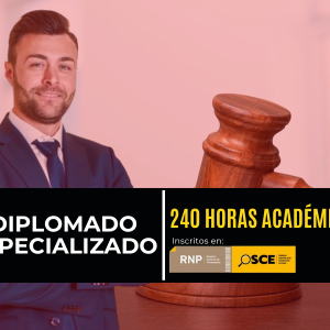 PROCESAL CIVIL Y LITIGACIÓN ORAL