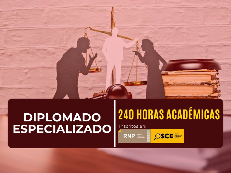 DERECHO PROCESAL CONSTITUCIONAL Y DERECHOS HUMANOS