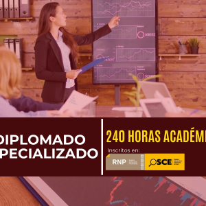 DIRECCIÓN Y CONTROL DE PROYECTOS EN EL ESTADO