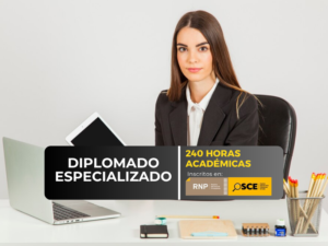 ASISTENTE EN FUNCIÓN FISCAL