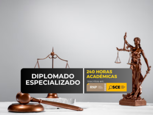 DERECHO CONSTITUCIONAL Y PROCESAL CONSTITUCIONAL