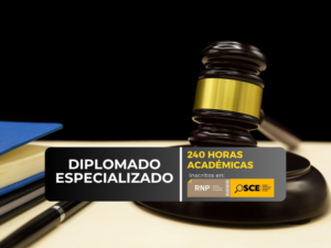DERECHO PENAL Y PROCESAL PENAL