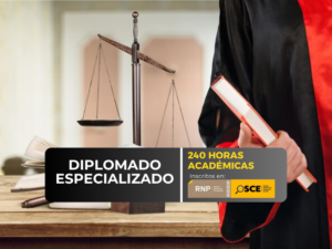 DERECHO CIVIL Y PROCESAL CIVIL
